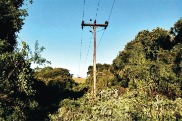 202605_-_Licenciamentos_Distribuio_1.jpg