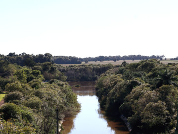 Reposio_Florestal_03.jpg