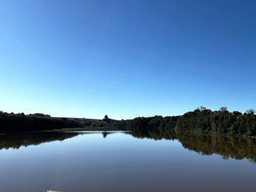 Reposio_Florestal_05.jpg