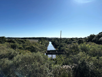 Reposio_Florestal_06.jpg