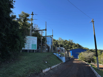Reposio_Florestal_09.jpg