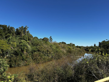 Reposio_Florestal_11.jpg