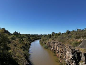 Reposio_Florestal_12.jpg