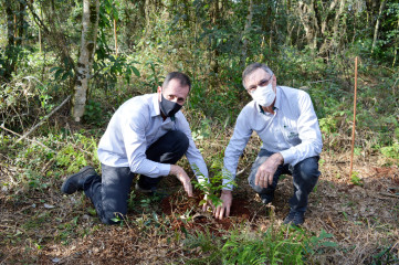 Projeto_Reposio_Florestal_1.jpg