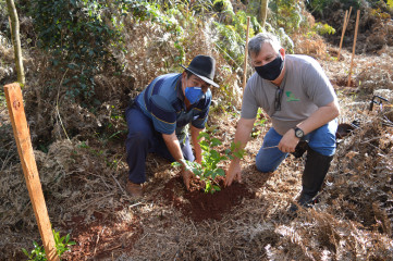 Projeto_Reposio_Florestal_5.jpg