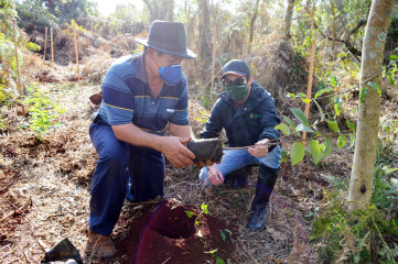 Projeto_Reposio_Florestal_7.jpg