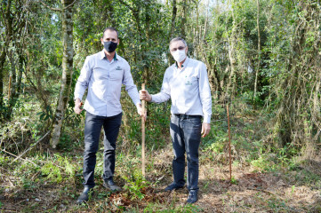 Projeto_Reposio_Florestal_8.jpg