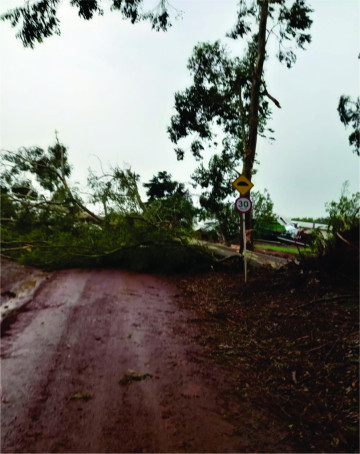 Temporal_editada_08.jpg