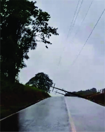Temporal_editada_13.jpg