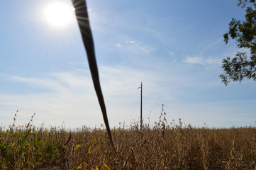DSC_0424.jpg