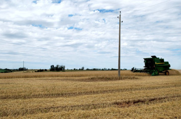 Redes_em_Lavouras_6.jpg