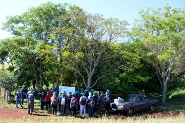 DSC_0049.jpg