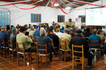 Pontao_StoAntonio2.jpg
