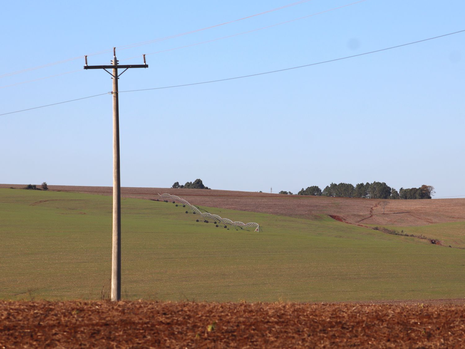 CLASSE RURAL LIDERA CRESCIMENTO E RETOMA PONTA NO CONSUMO DE ENERGIA EM 2025