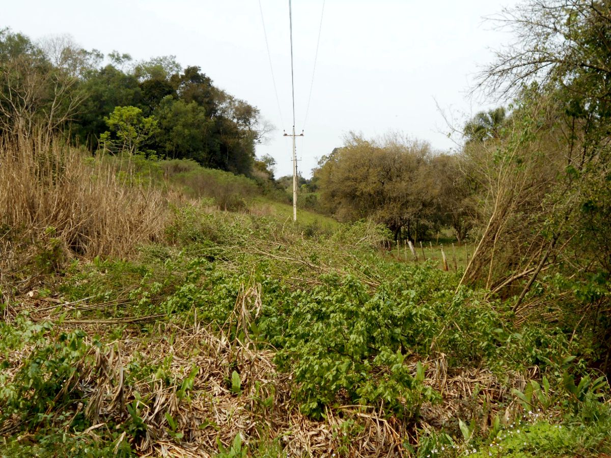 2026.04 Manejo de Redes