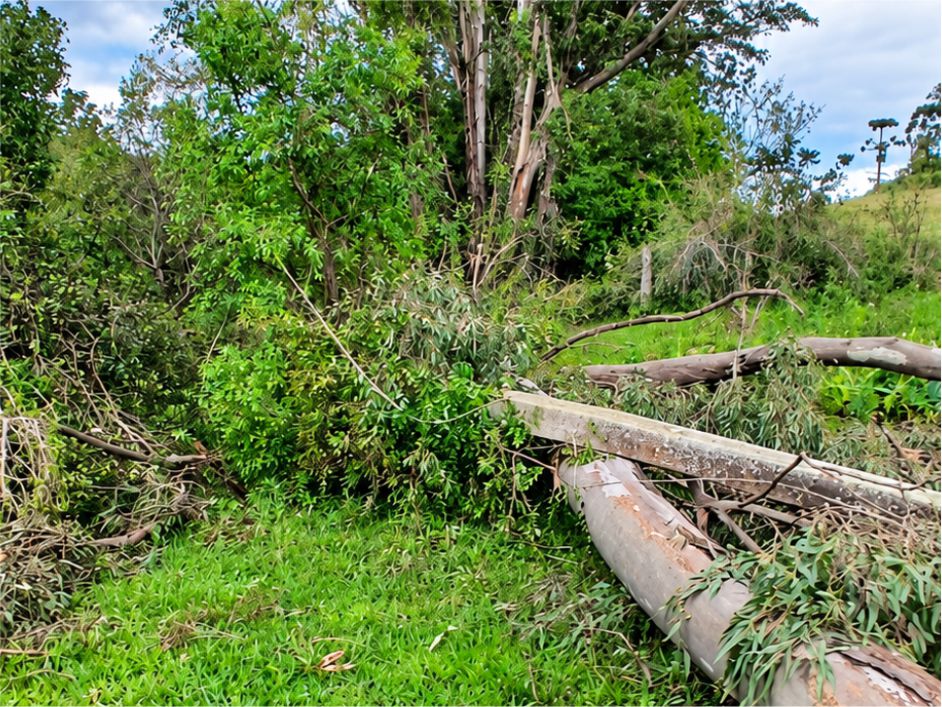 EQUIPES DA CERILUZ ATUAM NA MANUTENÇÃO EMERGENCIAL DAS REDES DESDE DOMINGO