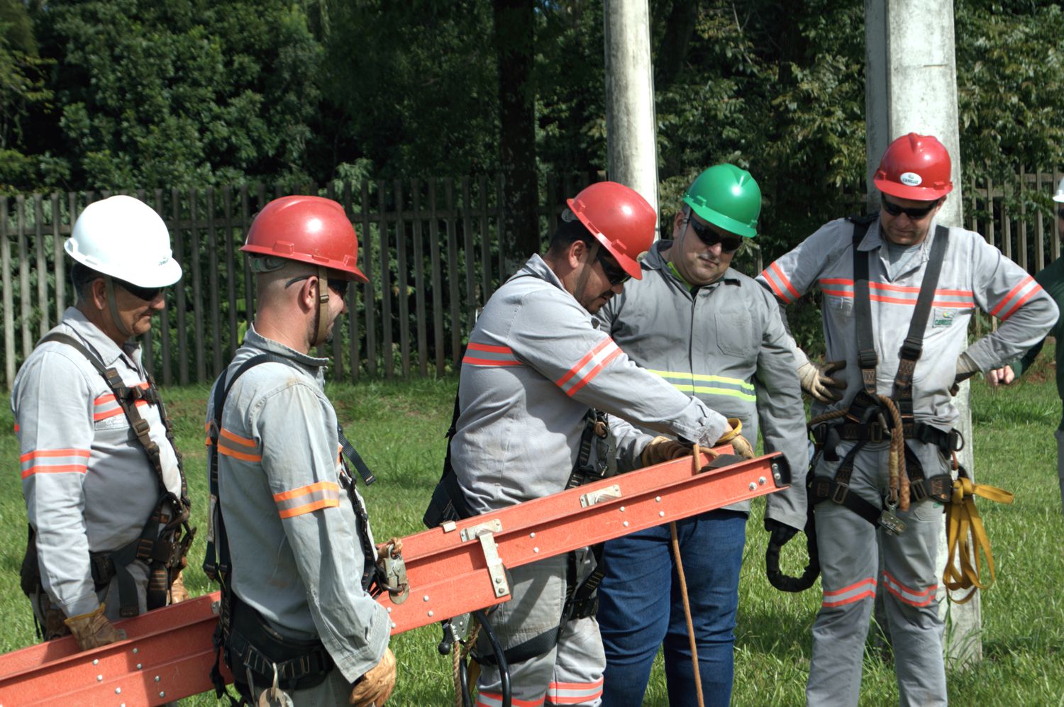 COLABORADORES REFORÇAM CONHECIMENTOS SOBRE SEGURANÇA NAS ATIVIDADES EM ALTURA