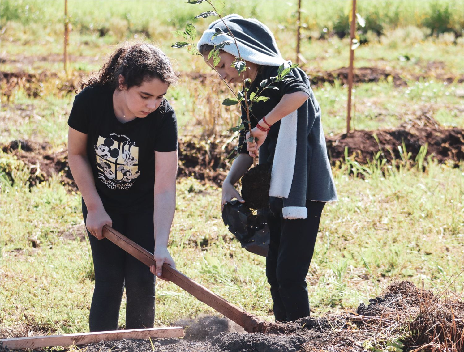 AÇÃO DO DIA C MOBILIZA ESCOLAS EM PLANTIO DE ÁRVORES NATIVAS COM FOCO NA PRESERVAÇÃO DA ÁGUA